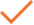 check mark icon